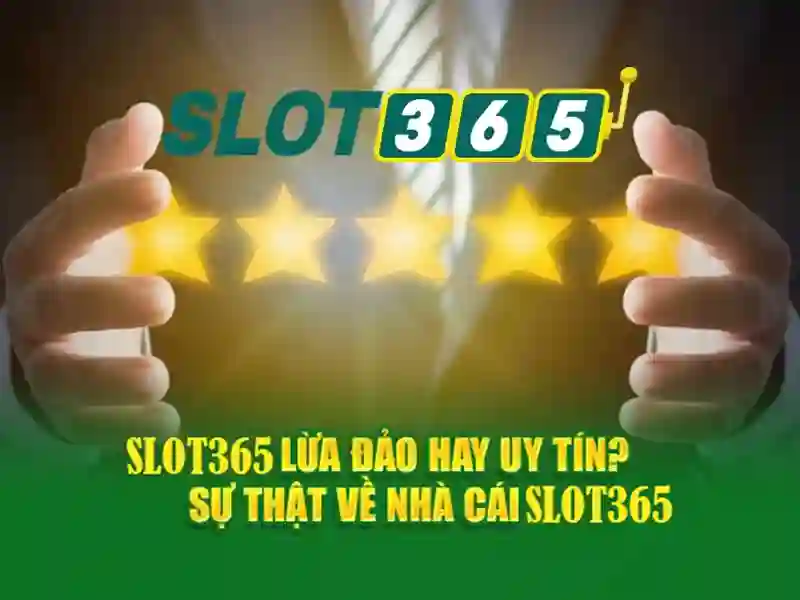 slot365 link alternatif: đường dẫn thay thế tối ưu cho trải nghiệm