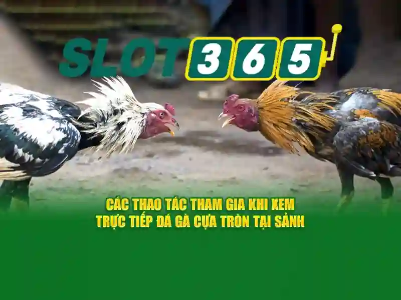 Slot365 an toàn không – Giới thiệu và tầm nhìn