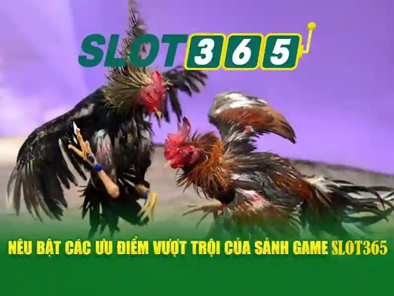 slot365 app - Trai nghiem nguoi dung va cong dong