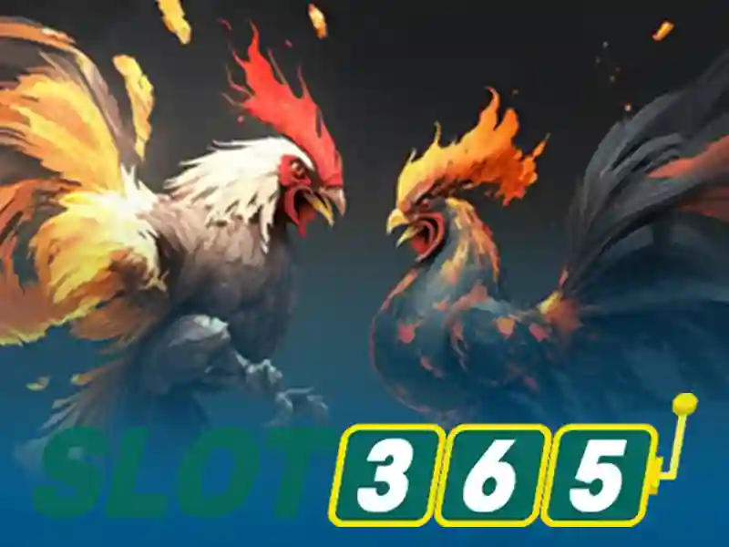 slot365 alternatif – Trải nghiệm và đánh giá uy tín