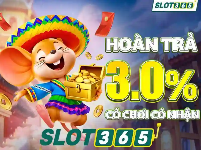 Tổng quan từ khóa slot365
