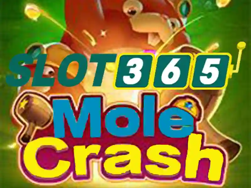 slot365 là gì: Khám phá nguồn cảm hứng và dịch vụ hàng đầu